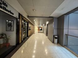 Cuppage Plaza (D9), Shop House #500972561